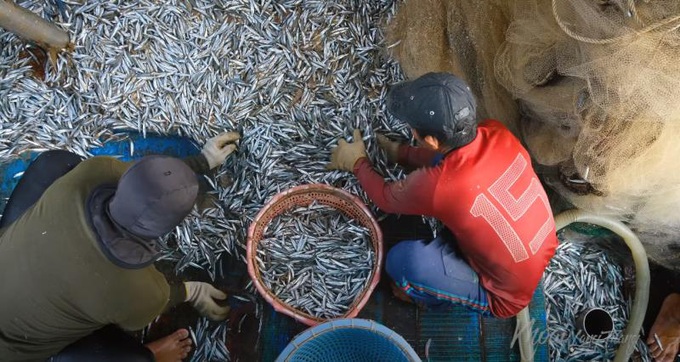 Khoai Lang Thang thức trắng đêm đi đánh bắt cá cơm trên biển Nha Trang - Ảnh 4.