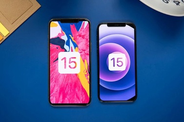 Những tính năng quan trọng trên iOS 15 cần được bật ngay lập tức