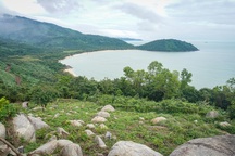 Đà Nẵng tiết lộ tiến độ siêu dự án 44.000 tỷ đồng dưới chân đèo Hải Vân