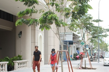 Lập đơn vị “chuyên trị” nạn cướp giật khách du lịch