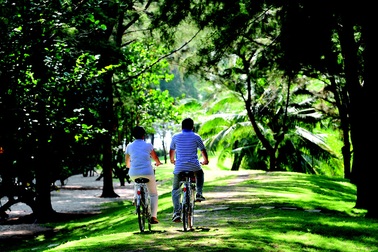 Giới thượng lưu đang đổ tiền vào đâu?