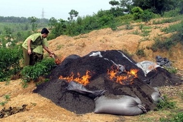 Yên Bái công bố dẹp bỏ hoàn toàn nạn chè bẩn