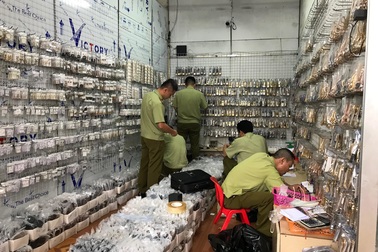 Phát hiện hàng nghìn sản phẩm quần áo, kính mắt, đồng hồ giả mạo Dior, Chanel…