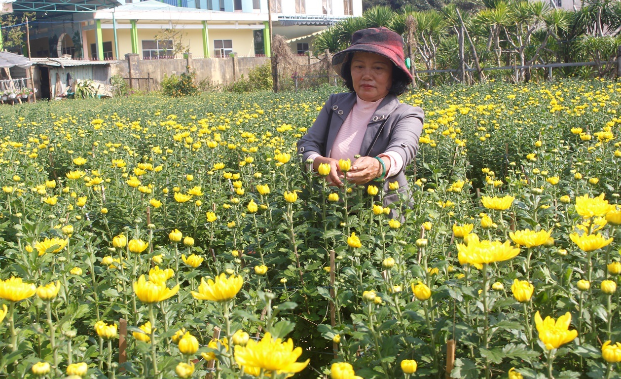 anh 4.JPG anh 4.JPG