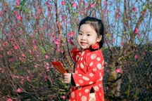 Tục lì xì đầu năm: Bao giờ trở lại như xưa?