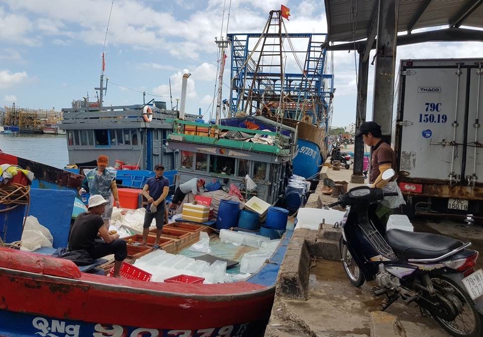 Khánh Hòa: Ngư dân hối hả vươn khơi Trường Sa sau bão số 13 - 1 Khánh Hòa: Ngư dân hối hả vươn khơi Trường Sa sau bão số 13 - 1
