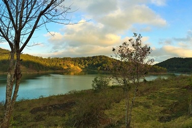 Đà Lạt lặng lẽ trở mình sang xuân