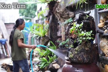 Thú sưu tầm đá cảnh "độc lạ" của người đàn ông ở Kon Tum