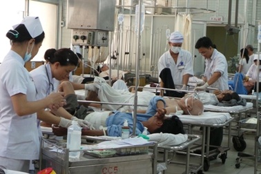 Có 2 trường đại học được đào tạo Cử nhân Dinh dưỡng