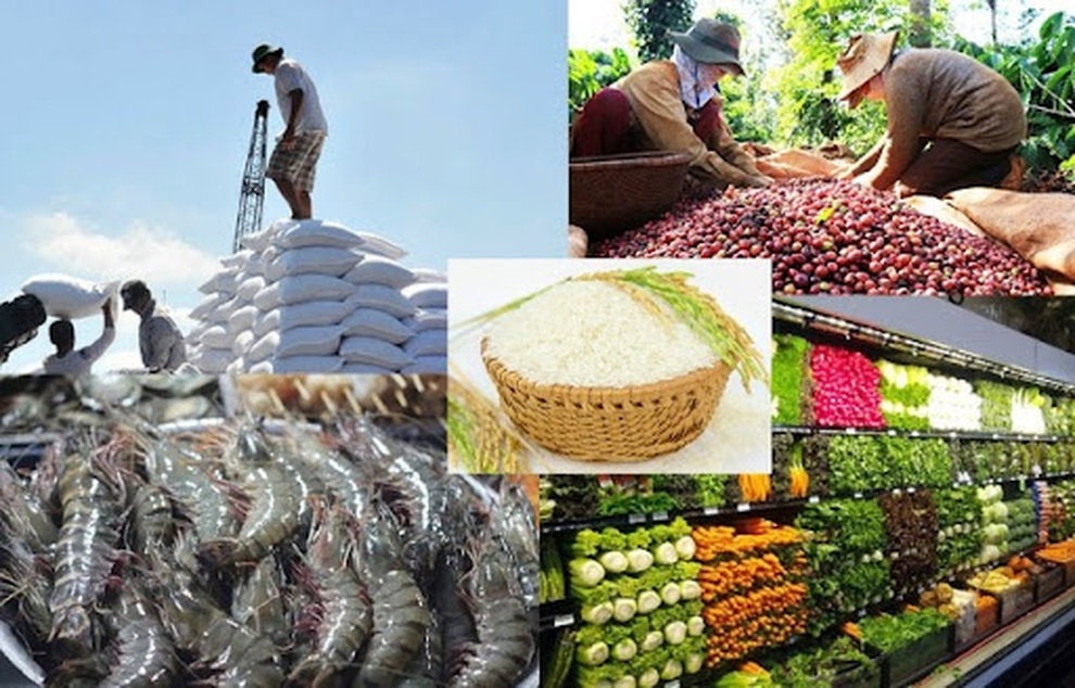 Người dân tiêm đủ 2 mũi vắc xin được sản xuất, lưu thông hàng - 1 Người dân tiêm đủ 2 mũi vắc xin được sản xuất, lưu thông hàng - 1