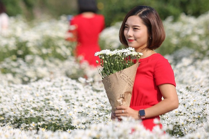 Hà Nội: Họa mi về phố - Ảnh 12. Hà Nội: Họa mi về phố - Ảnh 12.