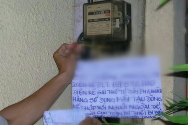 Đề nghị khởi tố hành vi trộm cắp trong hàng trăm vụ "câu" điện