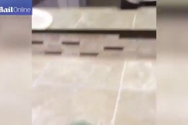 Video gây ảo giác: ném bóng với chính mình qua gương