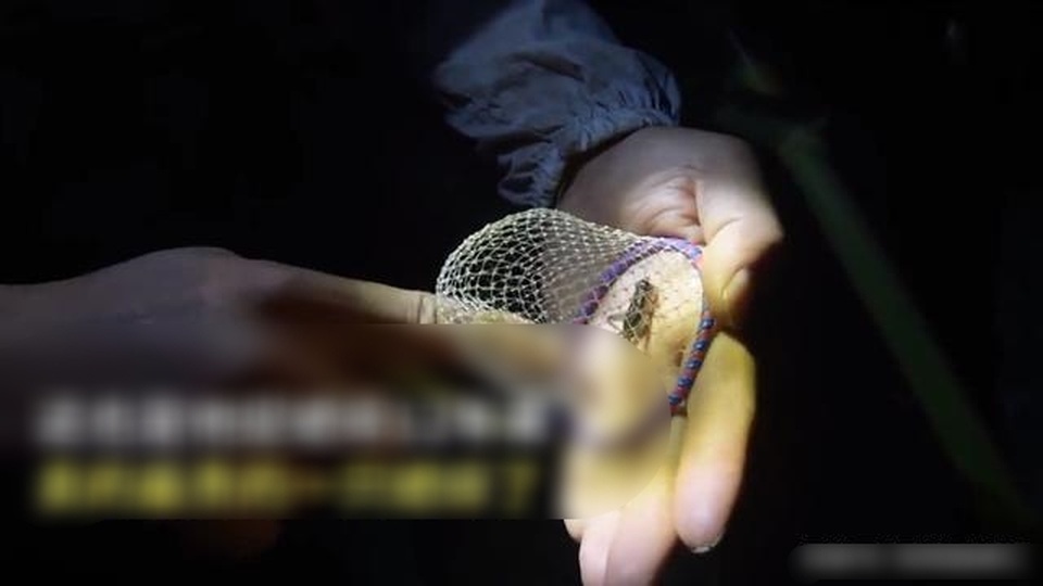 Biến thứ giá “0 đồng” thành miếng vàng biết đi, chàng trai tậu được 2 căn nhà - 2 Biến thứ giá “0 đồng” thành miếng vàng biết đi, chàng trai tậu được 2 căn nhà - 2