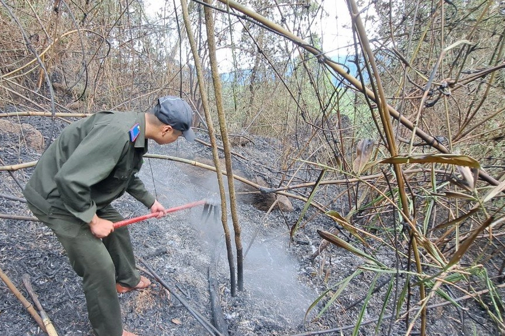 Hàng trăm công an, người dân chữa cháy rừng ở Đà Nẵng - 3 Hàng trăm công an, người dân chữa cháy rừng ở Đà Nẵng - 3