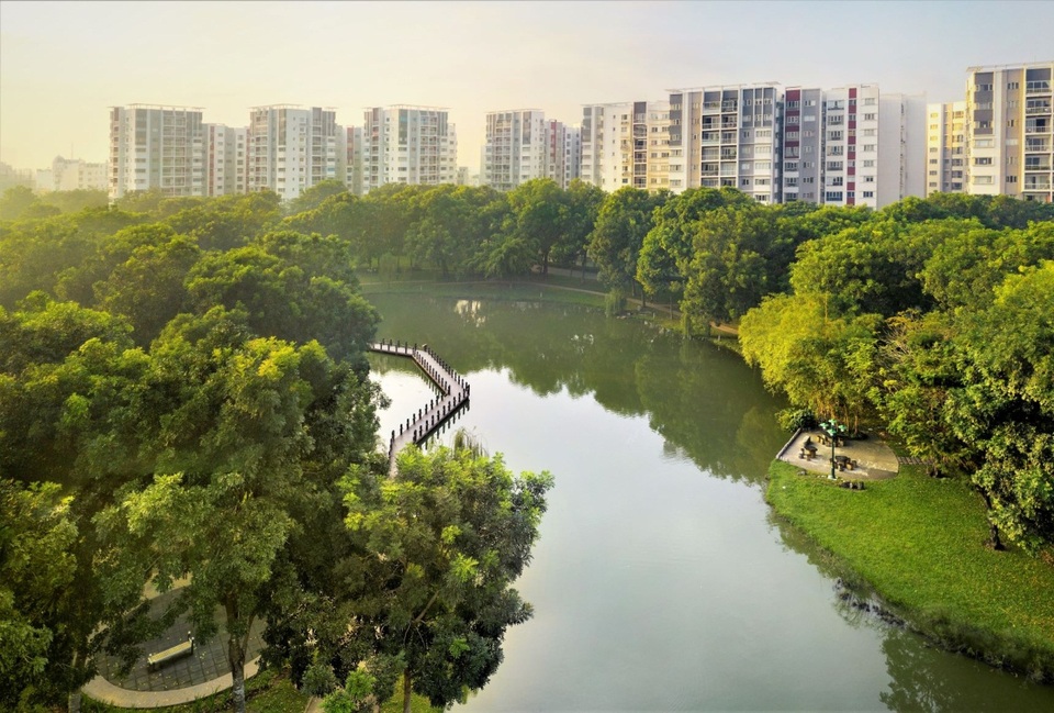 Săn “ảnh rừng” ngay trong lòng phố - 3