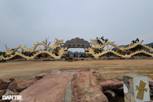 Xác minh thông tin 4 tượng rồng được tạo hình giống giun