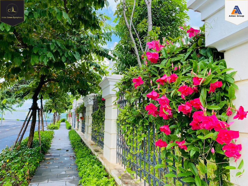 Anlac Green Symphony - khi hạ tầng làm nên giá trị bất động sản - 4 Anlac Green Symphony - khi hạ tầng làm nên giá trị bất động sản - 4