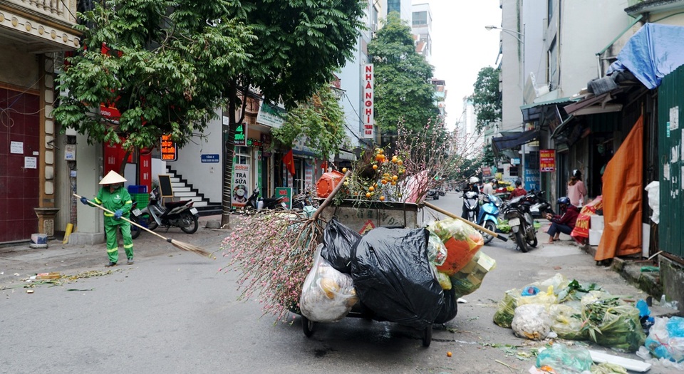 Đào Tết, quất cảnh phơi mình héo úa sau dịp Tết - 9 Đào Tết, quất cảnh phơi mình héo úa sau dịp Tết - 9