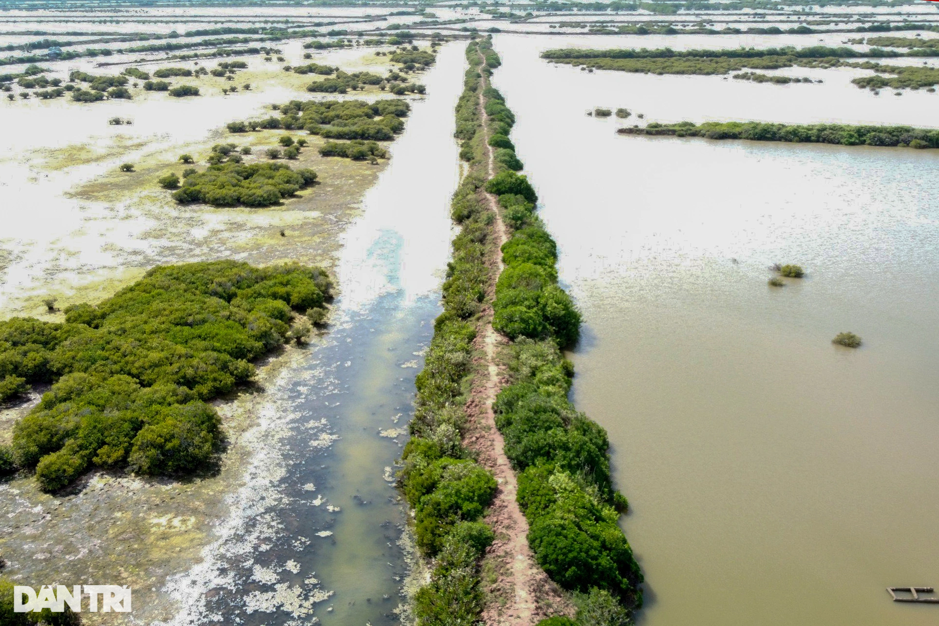 Ngắm khu bảo tồn thiên nhiên có thể bị thu hẹp để xây đô thị, sân golf - 2