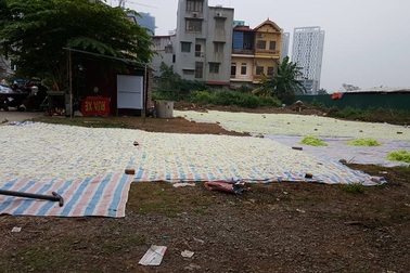 Vụ mứt bí phơi nền đất: Đã truy ra chủ hộ và tiêu huỷ toàn bộ 250kg phôi mứt