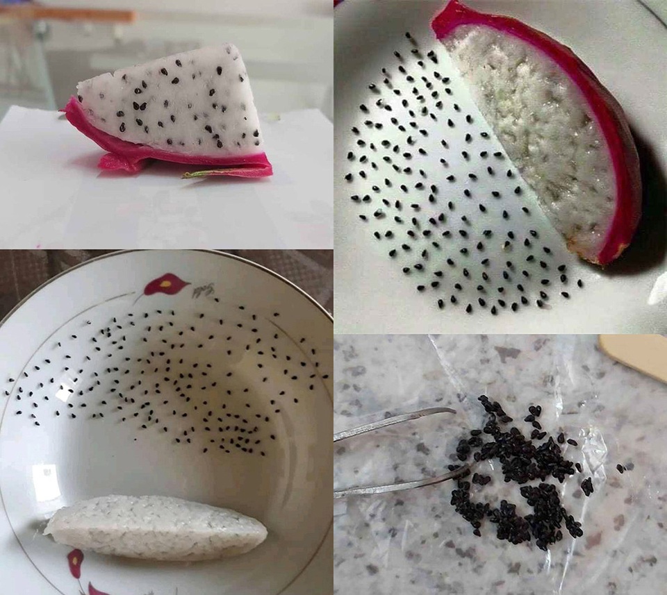 Đăng ảnh tiêu khiển mùa dịch, dân mạng khuyên tìm việc có ích mà làm - 3 Đăng ảnh tiêu khiển mùa dịch, dân mạng khuyên tìm việc có ích mà làm - 3