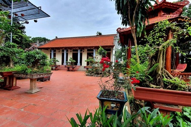 Ông bố Hà Nội làm nhà vườn 1.500m2 tràn ngập cây xanh, đẹp bình yên