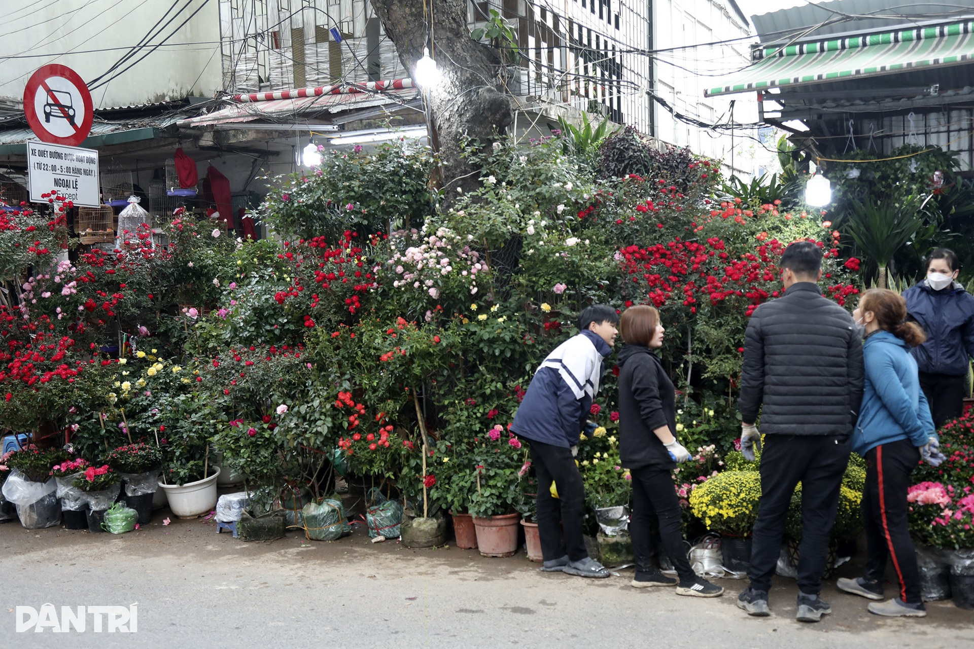 Phiên chợ Bưởi cuối cùng trong năm mang dấu ấn văn hóa Hà Nội xưa - 14 Phiên chợ Bưởi cuối cùng trong năm mang dấu ấn văn hóa Hà Nội xưa - 14