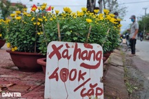 Chợ hoa 29 Tết đông nghịt người, người bán đồng loạt "xả" hàng