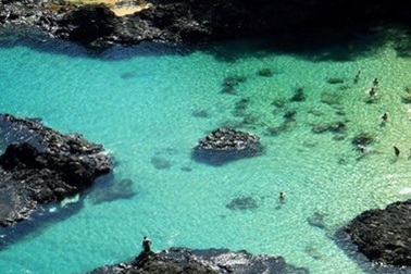 Brazil: Du khách bị cá mập cắn mất cánh tay khi đang lặn