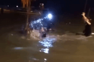 Nhóm người hỗn chiến vì cá phóng sinh vừa thả đã bị chích điện