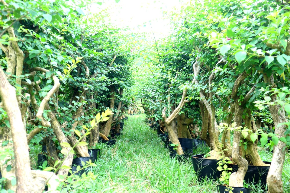 Nghị lực phi thường của chàng trai tưởng chừng phải sống thực vật - 2 Nghị lực phi thường của chàng trai tưởng chừng phải sống thực vật - 2