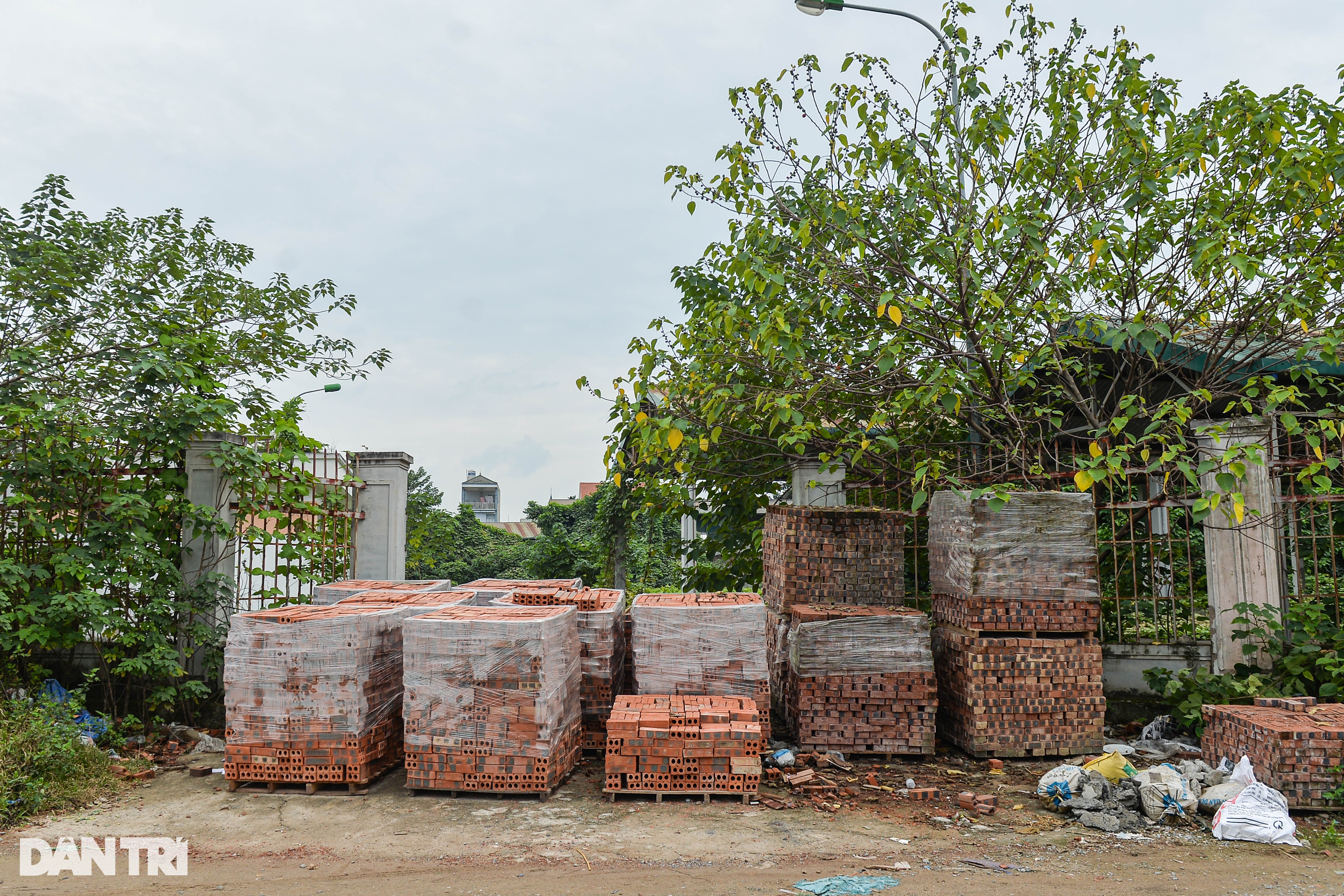 Cỏ mọc um tùm, rác chất đống ở hàng loạt chợ tiền tỷ bị bỏ hoang tại Hà Nội - 3