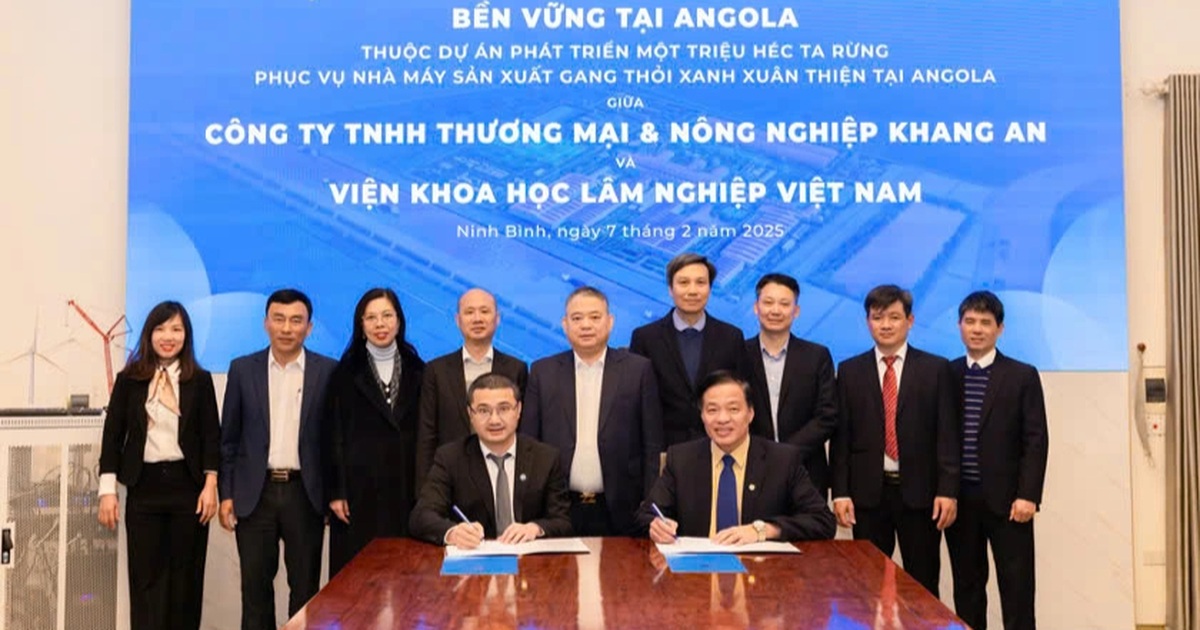 dantri.com.vn