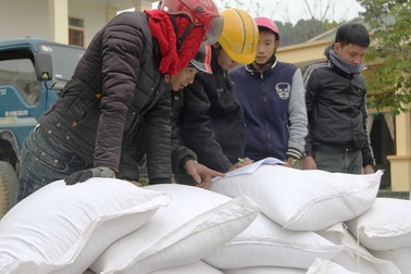 Phân bổ hơn 1.000 tấn gạo cho học sinh trong học kỳ 2 năm học 2017 - 2018