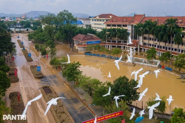 Trót buông lời vô cảm về bão lũ, học sinh nhận bài học quý về lòng nhân ái