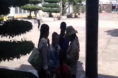 Video: Du khách đổ về Thánh đường Tắc Sậy ngày năm mới 2016.