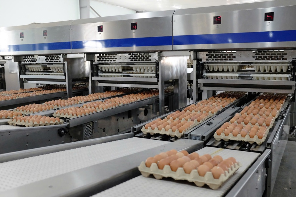 Lợi nhuận mảng nông nghiệp của Hòa Phát quý III tăng 80% - 2 Lợi nhuận mảng nông nghiệp của Hòa Phát quý III tăng 80% - 2