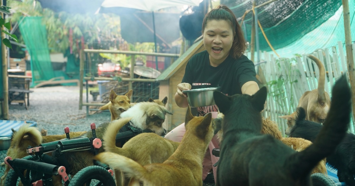 Dưới mái "Nhà Xanh"