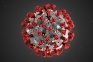 WHO: Virus corona mới có tên gọi chính thức là “COVID-19”
