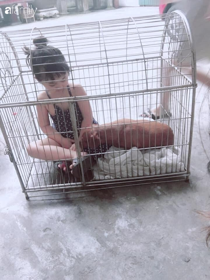 Cô bé xinh xắn năm lần bảy lượt đòi “ra riêng” trong chuồng chó, người mẹ bị mắng nhưng khi biết lý do, phụ huynh nào cũng đồng cảm - Ảnh 1. Cô bé xinh xắn năm lần bảy lượt đòi “ra riêng” trong chuồng chó, người mẹ bị mắng nhưng khi biết lý do, phụ huynh nào cũng đồng cảm - Ảnh 1.