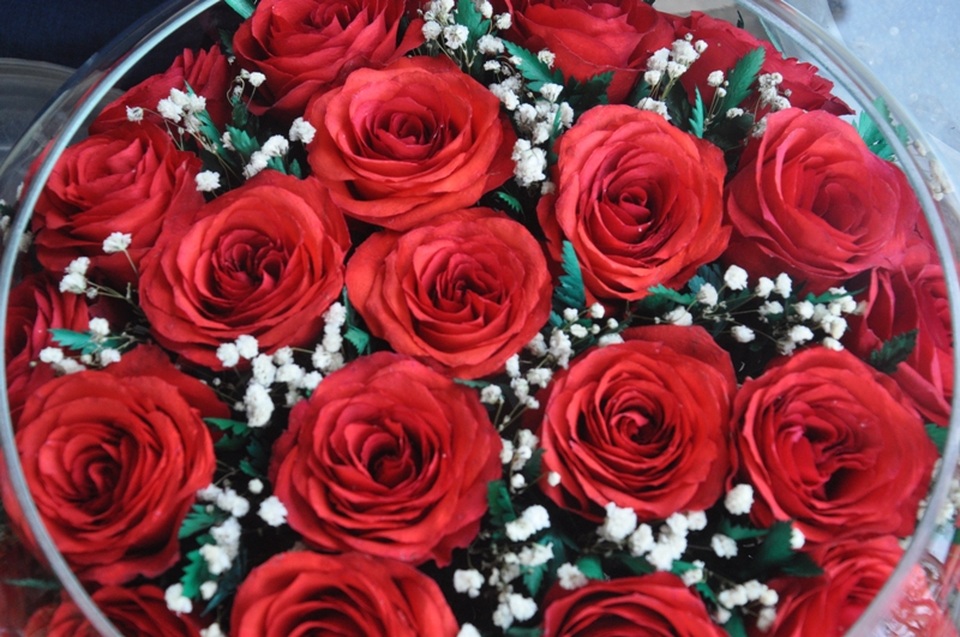 Khởi nghiệp 50 tuổi, nữ giúp việc trở thành chủ cơ sở hoa bất tử - 3 Khởi nghiệp 50 tuổi, nữ giúp việc trở thành chủ cơ sở hoa bất tử - 3