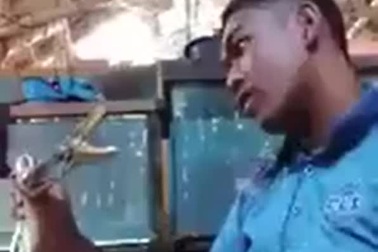 Đùa giỡn với trăn, thanh niên lĩnh cái kết đầy đau đớn