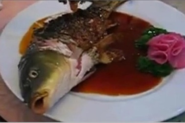 Xôn xao đoạn clip ăn cá sống