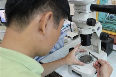 Hai bằng tiến sỹ, lương hơn hai triệu đồng