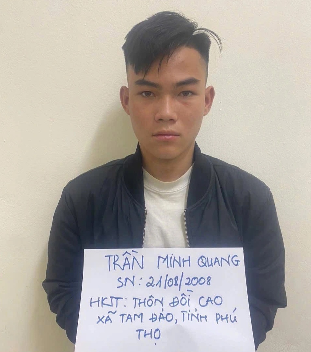 Thanh niên dùng thanh sắt kề vào cổ chủ nhà cướp điện thoại - 2