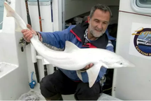 Ngư dân bắt được cá mập bạch tạng trắng toàn thân