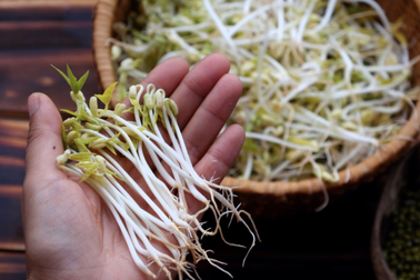 Nhiều ngôi sao quốc tế giảm cân bằng một món "siêu rẻ" ở Việt Nam