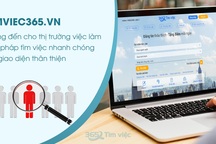 Timviec365.vn - nơi “ươm mầm” giấc mơ việc làm trong CV xin việc chuyên nghiệp