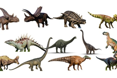 Có bao nhiêu loài khủng long từng tồn tại trên Trái đất?